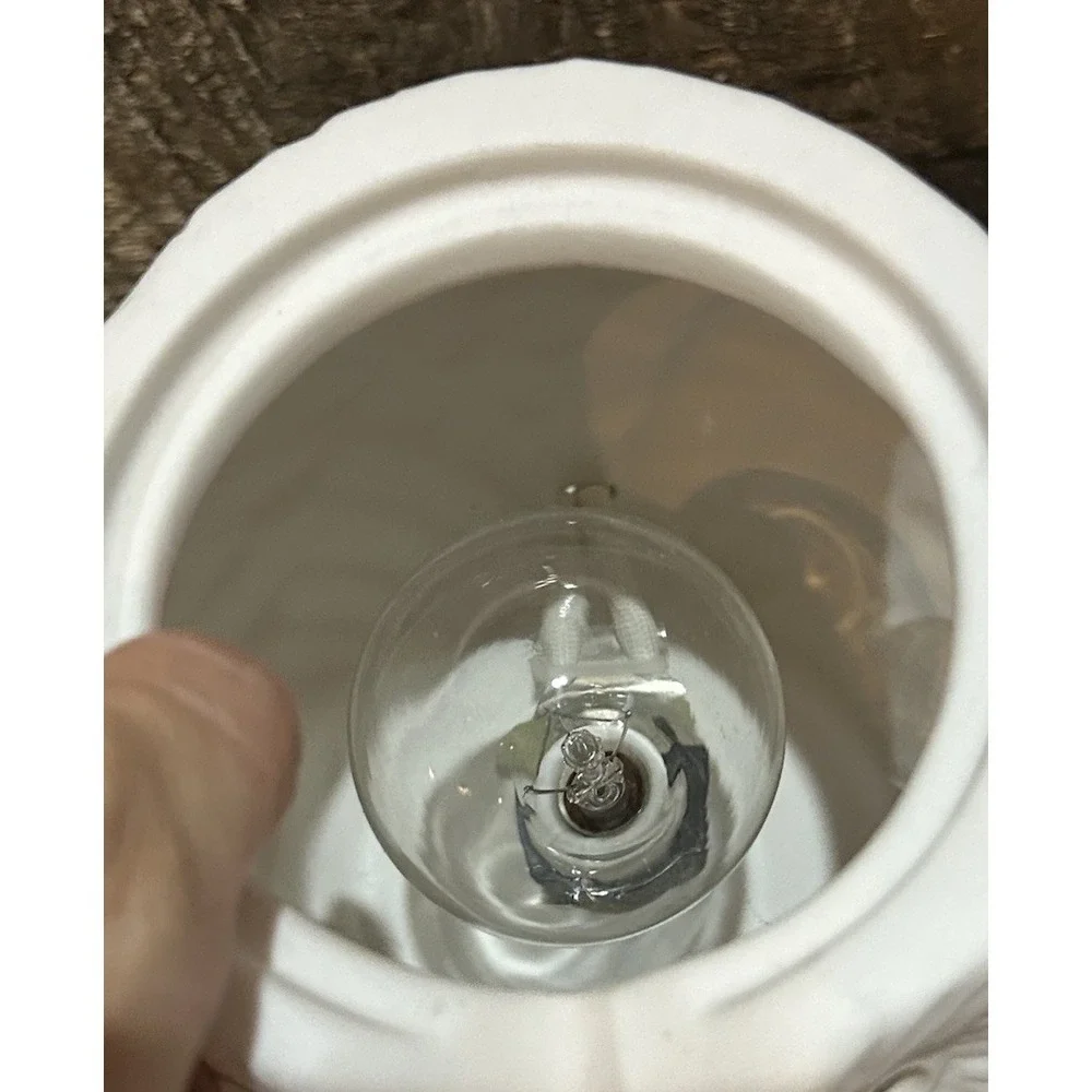 Scentsy whoot white